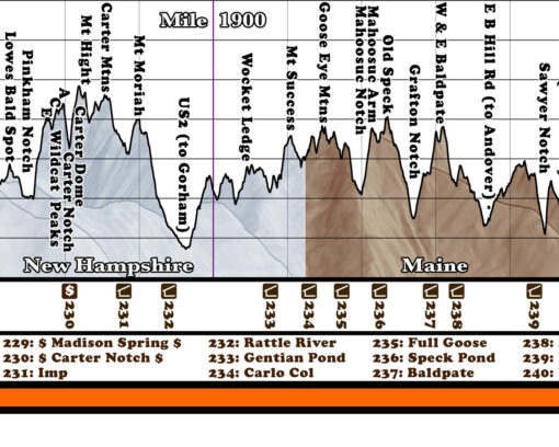 2025 Appalachian Trail Map – 10 Feet Wide, On Professional Canvas – Calm Hypsometric Colored Version - Image 8