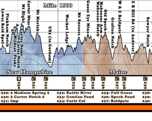 2025 Appalachian Trail Map – 10 Feet Wide, On Professional Canvas – State Colored Version - Image 10