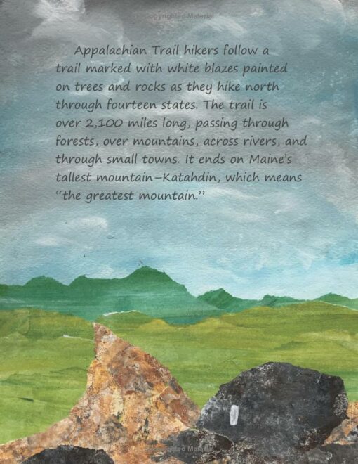 Black Bear's Adventure: An Appalachian Trail Journey - Image 2